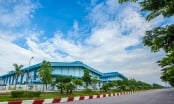 Đại gia Việt đứng sau siêu dự án Công viên Dược phẩm ở Hải Dương