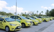 Doanh nghiệp vận tải du lịch Đà Nẵng 'méo mặt' vì giá xăng dầu leo thang