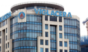 Viglacera đặt mục tiêu lợi nhuận 1.700 tỷ đồng