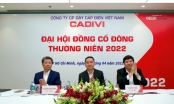 Ông Nguyễn Văn Tuấn tái đắc cử Chủ tịch CADIVI