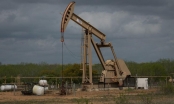 Mỹ kích hoạt lại hoạt động khai thác dầu khí trên đất công