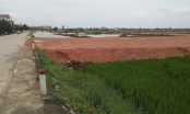 [Phía sau cơn 'sốt' đất ở Quảng Bình] Bài 1: Những thửa ruộng dần biến mất