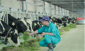 Giám đốc điều hành Marketing Vinamilk: Thị trường sữa sẽ phát triển bền vững trong thời gian tới