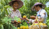 Học giả Việt Nam: Trung Quốc thúc đẩy chấn hưng nông thôn theo quan điểm phát triển 'lấy nhân dân làm trung tâm'