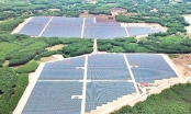 Quảng Ngãi gỡ vướng cho dự án nhà máy điện mặt trời hơn 1.100 tỷ đồng
