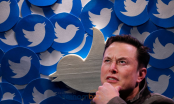 Elon Musk đột nhiên 'tạm dừng' thỏa thuận mua lại Twitter