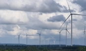 Nhiều dự án điện gió ở Gia Lai chưa thể vận hành thương mại