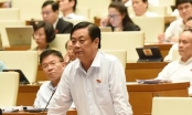 Bộ trưởng Lê Minh Hoan: Phát triển nông nghiệp công nghệ cao là xu thế tất yếu