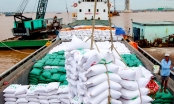 Xuất khẩu gạo tăng mạnh trong tháng 5, đạt mức 800.000 tấn