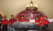 Độc đáo sự kiện thưởng thức cá ngừ đại dương khổng lồ 300kg tại My Way