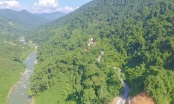 Quảng Nam xin chuyển hơn 25ha rừng tự nhiên để làm đường giao thông