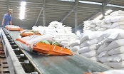 Gặp nhiều yếu tố bất lợi, gạo xuất khẩu nguy cơ bị 'giảm giá trị'