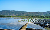 Hai dự án điện mặt trời của Xuân Thiện Group “về tay” Tập đoàn EDPR