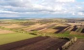 3 tập đoàn Mỹ mua 17 triệu ha đất nông nghiệp của Ukraine