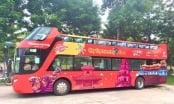 Thừa Thiên Huế đưa vào vận hành xe buýt hai tầng phục vụ du lịch