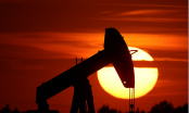 Giá xăng dầu hôm nay 16/10 giảm tiếp gần 2 USD/thùng