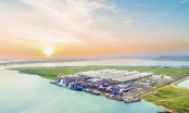 Cảng Chu Lai phát triển mạnh dịch vụ xuất nhập khẩu hàng rời