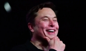 Elon Musk tiếp quản Twitter, bắt đầu sa thải các giám đốc điều hành
