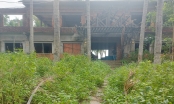 Cận cảnh dự án khu du lịch 'ôm đất vàng' rồi bỏ hoang ở Quảng Nam