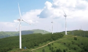 Nhiều sai phạm trong phát triển năng lượng tái tạo ở Đắk Lắk