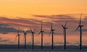 Nhà đầu tư Hà Lan nghiên cứu đầu tư điện gió trên biển tại Quảng Bình