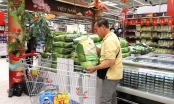 Việt Nam nhập gần 1 triệu tấn gạo: Cần kiểm soát chặt