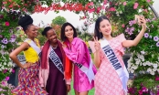 35 mỹ nhân dự thi Hoa hậu du lịch thế giới check in khoe sắc cùng hoa Mê Linh
