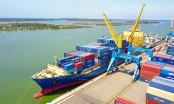 Quảng Nam tìm cách đẩy mạnh xuất khẩu vào thị trường EU