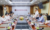 Agribank và PVN định hướng mở rộng quan hệ hợp tác