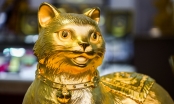 Bảo vật mèo 48 kg vàng ròng 'có 1 không 2' chào đón ngày Thần Tài