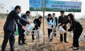 Khởi động dự án trồng cây hướng đến Net Zero Carbon của Vinamilk và Bộ Tài nguyên và Môi trường 