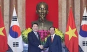 Hàn Quốc mở rộng hợp tác kinh tế với Việt Nam