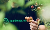 Startup nông nghiệp Việt FoodMap gọi vốn thành công 1 triệu USD