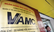 Thanh tra Chính phủ phát hiện loạt sai phạm tại VAMC