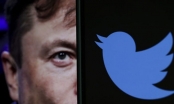 Elon Musk chuẩn bị 'tái thiết' thương hiệu Twitter và 'vĩnh biệt' những chú chim xanh