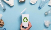 Tổng Thư ký Hiệp Hội nhựa Việt Nam: 'Tiền đóng góp tái chế chiếm gần 40% lợi nhuận của doanh nghiệp'