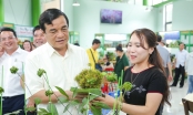 Bí thư Quảng Nam: Xây dựng huyện Nam Trà My thật sự trở thành 'thủ phủ sâm Ngọc Linh'