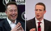 Elon Musk chế nhạo Mark Zuckerberg là 'đối thủ tí hon' và không giống một 'Lý Tiểu Long hiện đại'