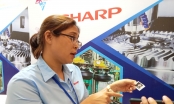 Sharp 'đỏ mắt' tìm nhà cung ứng linh kiện sản xuất ở Việt Nam
