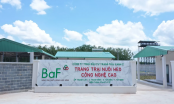 BaF Việt Nam sắp chào bán hơn 68 triệu cổ phiếu giá 10.000 đồng/cp