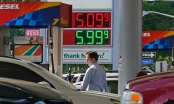 CEO Chevron: 'Giá dầu hướng tới mốc 100 USD/thùng nhưng các nền kinh tế sẽ ít bị ảnh hưởng'