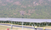 Mảng năng lượng tái tạo thành ‘gà đẻ trứng’ cho Tập đoàn Sao Mai