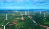 Điện gió Trung Nam Đắk Lắk 1 lỗ 390 tỷ nửa đầu năm