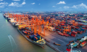Tín hiệu lạc quan về lợi nhuận doanh nghiệp cảng và vận tải biển