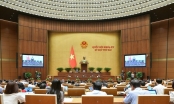 Hôm nay (6/11), Quốc hội bắt đầu chất vấn Thủ tướng và các thành viên Chính phủ, trưởng ngành