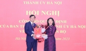 Ông Nguyễn Văn Dũng giữ chức Chủ tịch HĐTV Tổng công ty Du lịch Hà Nội