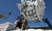 Việt Nam chi gần 900 triệu USD nhập khẩu gạo
