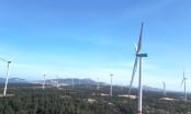 Bình Định cho hai doanh nghiệp khảo sát tiềm năng điện gió