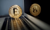 Giá Bitcoin đạt mốc 50 nghìn USD lần đầu sau hơn hai năm