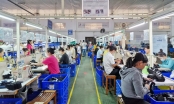 Nhiều doanh nghiệp ở Đà Nẵng tuyển dụng lao động sau Tết Nguyên đán